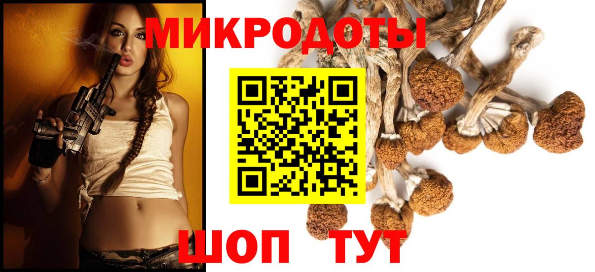 Псилоцибиновые грибы Psilocybe Гурьевск